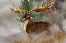 Image result for Irish Elk