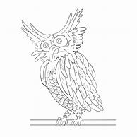 Image result for Owl On Branch Print Out