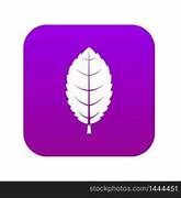 Image result for Leaf Icon Vector