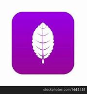 Image result for Eco-Leaf Icon