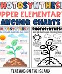 Image result for Science Photosynthesis Worksheets