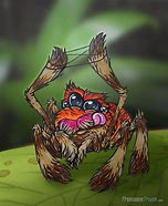 Image result for A Cartoon Spider