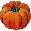 Image result for Tall Pumpkin Clip Art Orange and White