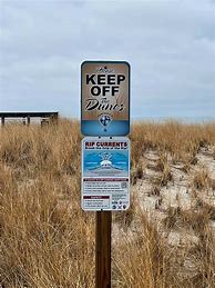 Image result for Beach Signs and Sayings