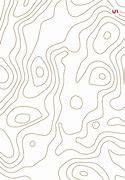 Image result for Topographic Line Map Pattern