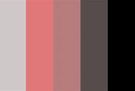 Image result for Dusty Rose Color Palette