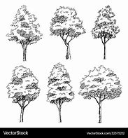 Image result for Architectural Drawing Tree Line