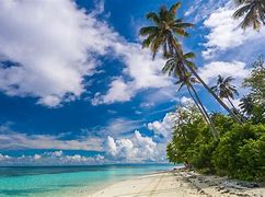 Image result for Tropical Island Ocean