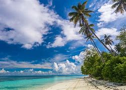 Image result for Tropical Island Ocean