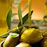 Image result for Desktop Wallpaper 4K Olive Branch