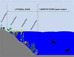 Image result for Hierarchy of a Work Zone