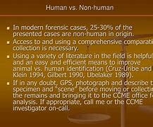 Image result for Image of Human versus Ai