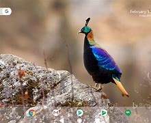 Image result for Best of Bing Desktop Themes