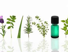 Image result for Best Essential Oils for Cleaning