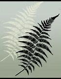 Image result for Leaf Stencil Art