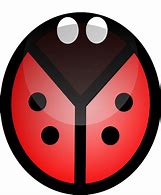 Image result for Ladybug On Leaf Clip Art