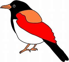 Image result for Colourful Birds Clip Art