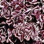 Image result for Single Rose Painting