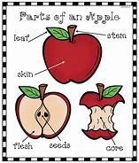 Image result for Apple Parts Worksheet Kindergarten