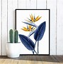 Image result for Vintage Watercolor Bird On a Branch