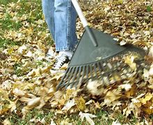 Image result for Raking Leaves 100 Years Ago