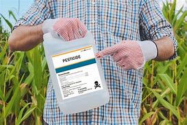 Image result for Pesticide Product Label System