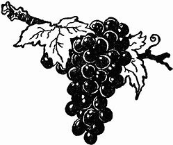 Image result for Happy Grapes Clip Art