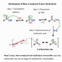 Image result for Amide Bond Hydrolysis