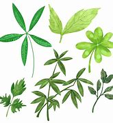 Image result for Desktop Backgrounds Watercolor Leaves