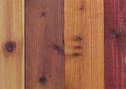 Image result for Tinted Varnish