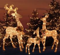 Image result for Best Outdoor Christmas Decorations Deer