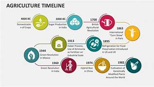 Image result for Timeline Chart for Agricultural Chatbot Project