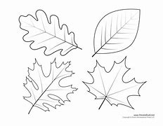 Image result for Printable Real Leaf