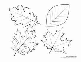 Image result for Printable Real Leaf