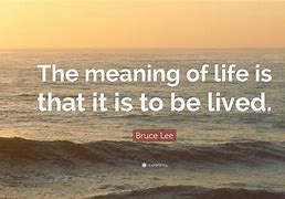 Image result for Quotes About Life with Meaning