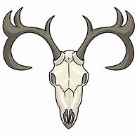 Image result for Deer Skull Sketches