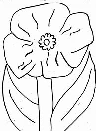 Image result for Poppies Coloring Pages