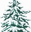 Image result for Snowy Tree Branches