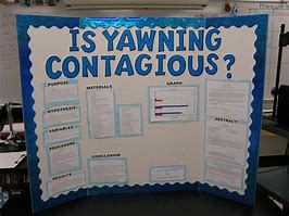 Image result for 8th Grade Science Fair Boards