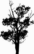 Image result for Half Tree Silhouette