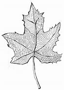 Image result for Contour Line Drawing of a Leaf Branch