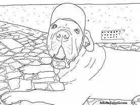 Image result for Happy Birthday Dog Coloring Pages