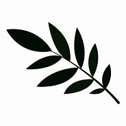 Image result for Curved Leaf Branch Silhouette