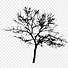 Image result for Laser Bird Tree Silhouette