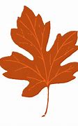 Image result for Autumn Leaf Clip Art Free