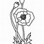 Image result for Poppies Coloring Pages