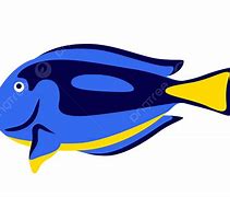 Image result for Blue Tang Fish Clip Art