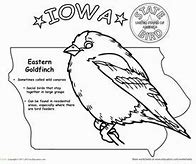 Image result for Iowa State Bird Coloring Page