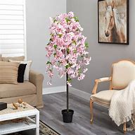 Image result for Potted Cherry Blossom Tree