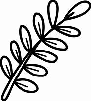 Image result for Branch Illustration